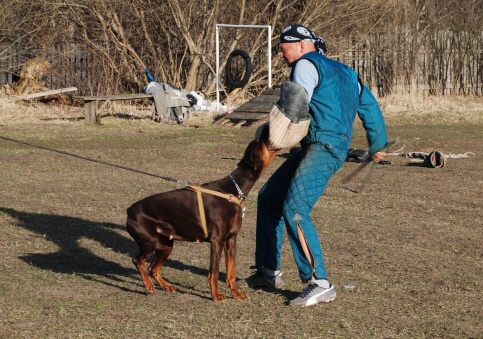 Training in Estonia 30.3 - 1.4. 2007